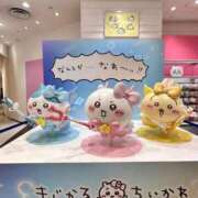 ヒメ日記 2026/09/19 15:08 投稿 こはく【ゴールドアロー】 Arrows 苫小牧・千歳店