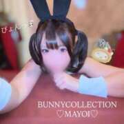 ヒメ日記 2026/07/10 14:13 投稿 マヨイ【Jカップ、規格外】 バニーコレクション 中洲店