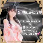 ヒメ日記 2026/07/12 10:04 投稿 マヨイ【Jカップ、規格外】 バニーコレクション 中洲店