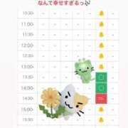 ヒメ日記 2026/09/13 12:07 投稿 マヨイ【Jカップ、規格外】 バニーコレクション 中洲店