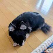 ヒメ日記 2026/10/05 07:08 投稿 結海(ゆうみ)★ 阿AUN呍(あうん)
