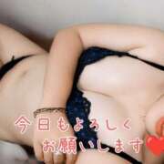 ななせ 今日もいっぱい❤️ 水戸人妻花壇