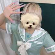 ヒメ日記 2026/07/06 22:59 投稿 風和 よつば しゃせきょっ!XX教育される制服女子たち