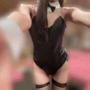 ヒメ日記 2026/07/31 23:23 投稿 あも JAPAN CLUB BUNNY LOUNGE