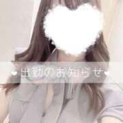 伊達 絵里香 出勤予定🔔 プルプルオフィスディーバ