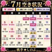 ヒメ日記 2026/07/05 10:02 投稿 しのぶ 桃李（とうり）