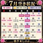 ヒメ日記 2026/07/05 14:52 投稿 しのぶ 桃李（とうり）
