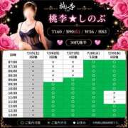ヒメ日記 2026/07/23 11:32 投稿 しのぶ 桃李（とうり）