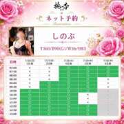 ヒメ日記 2026/07/24 03:42 投稿 しのぶ 桃李（とうり）