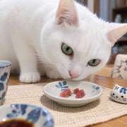 しのぶ 🐱野生から、カツオ3かけまで🐟 桃李（とうり）