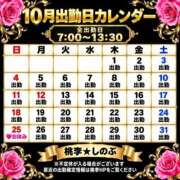 ヒメ日記 2026/09/30 13:56 投稿 しのぶ 桃李（とうり）