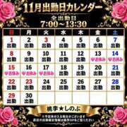 ヒメ日記 2026/10/05 17:32 投稿 しのぶ 桃李（とうり）