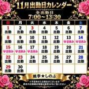 ヒメ日記 2026/10/06 11:12 投稿 しのぶ 桃李（とうり）