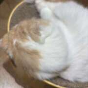 ヒメ日記 2026/07/22 23:18 投稿 かなえ モアグループ宇都宮人妻花壇