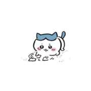 ヒメ日記 2026/08/18 11:14 投稿 潮⭕️き重度のドM『メロちゃん』 GOOD-グッド-