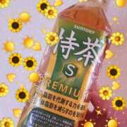 ヒメ日記 2026/07/10 06:50 投稿 よう セレブクエスト-koshigaya-