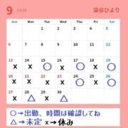 ヒメ日記 2026/09/10 19:02 投稿 染谷 ひより ハレ系 福岡DEまっとる。＆ひよこ治療院