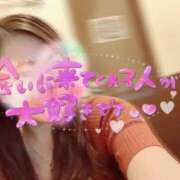 ヒメ日記 2026/07/28 23:00 投稿 八乙女　かおり YOKOHAMA FIVESTAR（横浜ファイブスター）