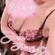 ヒメ日記 2026/08/04 08:09 投稿 八乙女　かおり YOKOHAMA FIVESTAR（横浜ファイブスター）