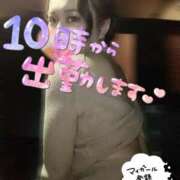 ヒメ日記 2026/10/07 09:05 投稿 八乙女　かおり YOKOHAMA FIVESTAR（横浜ファイブスター）