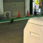 ヒメ日記 2026/09/08 22:20 投稿 ましろ 手コキ＆オナクラ 大阪はまちゃん 梅田店