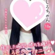 ヒメ日記 2026/09/27 19:01 投稿 ましろ 手コキ＆オナクラ 大阪はまちゃん 梅田店