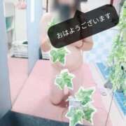 ヒメ日記 2026/09/23 08:51 投稿 山下かおる マダム撫子(なでしこ)～麗しの楽園ソープ～