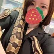 ヒメ日記 2026/07/18 20:03 投稿 いちご 東京リップ八王子店