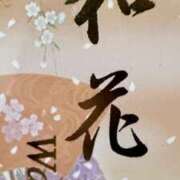 ヒメ日記 2026/08/25 07:48 投稿 和花 ドンファン