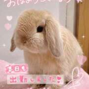 ヒメ日記 2026/07/09 09:58 投稿 ひびき 濃厚即19妻