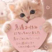 ヒメ日記 2026/09/09 13:54 投稿 ひびき 濃厚即19妻