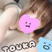 よしの 本日14:00-18:00 THE ESUTE 渋谷
