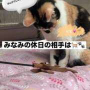 ヒメ日記 2026/09/06 13:22 投稿 みなみ 治療院.LOVE 宇都宮店