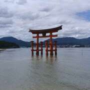 ヒメ日記 2026/08/11 10:54 投稿 神崎あん ミセスファンタジー