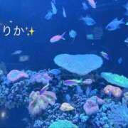 りか 日常を忘れて✨ マダムの品格