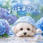 ヒメ日記 2026/07/05 10:06 投稿 ゆきの タレント倶楽部Around40