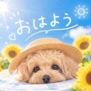ヒメ日記 2026/07/10 08:40 投稿 ゆきの タレント倶楽部Around40