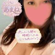 ヒメ日記 2026/09/02 12:21 投稿 あまね X-PARTY