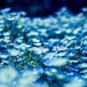 清水かよ 20時から? 華椿