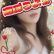 ヒメ日記 2026/08/06 15:12 投稿 きらら 熟女総本店