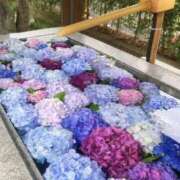 ヒメ日記 2026/07/05 08:17 投稿 桜庭こはく Aroma Love(梅田)
