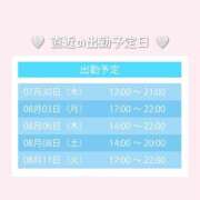 ヒメ日記 2026/07/29 18:11 投稿 みれい 大阪回春性感エステ・ティーク　梅田店