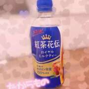 ヒメ日記 2026/10/13 12:51 投稿 りん 大阪回春性感エステ・ティーク　梅田店