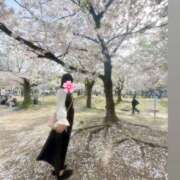 ヒメ日記 2026/08/29 12:52 投稿 ゆあん Profile～プロフィール～（那覇）