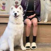 ヒメ日記 2026/09/16 15:02 投稿 ねお 新宿・本格コスプレ美人秘書オフィスイメクラ「秘書課女子」