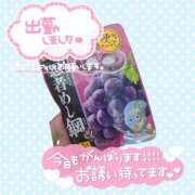 ヒメ日記 2026/08/06 10:38 投稿 滝沢　えみ 未熟な人妻