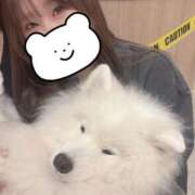れお こんにちわん🐶 アラカルト