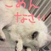ヒメ日記 2026/10/20 00:14 投稿 れお アラカルト