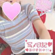 ヒメ日記 2026/08/14 17:26 投稿 みみ 濃厚即19妻