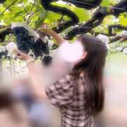 ヒメ日記 2026/09/15 22:29 投稿 あゆ 東京リップ 秋葉原店
